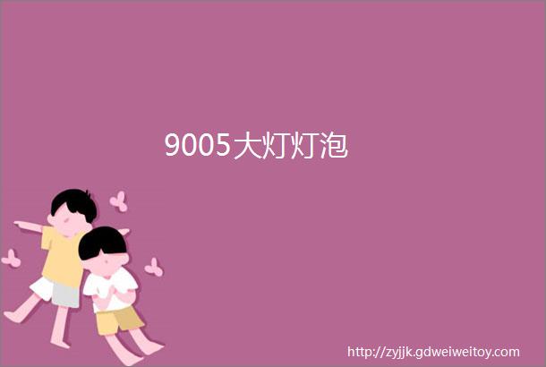 9005大灯灯泡