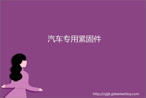 汽车专用紧固件