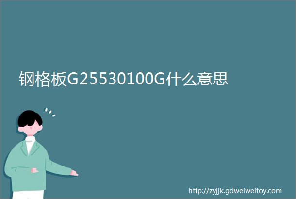 钢格板G25530100G什么意思